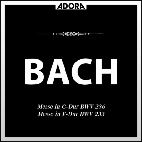 Mess für Chor und Orchester in F Major, BWV 233: No. 3, Domine Deus - Qui tollis | Boomplay Music