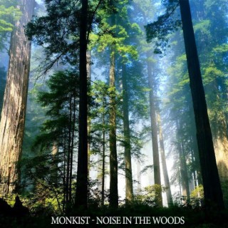 Noise in the Woods