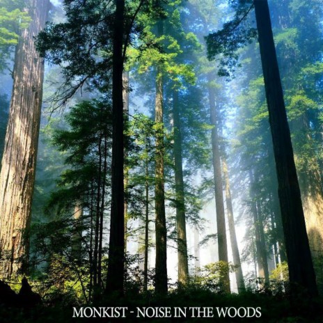 Noise in the Woods (Original Mix)