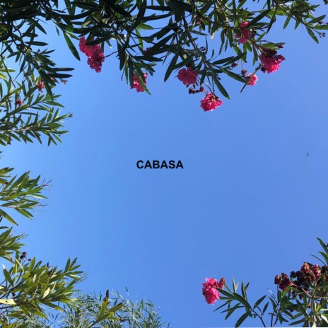 Cabasa