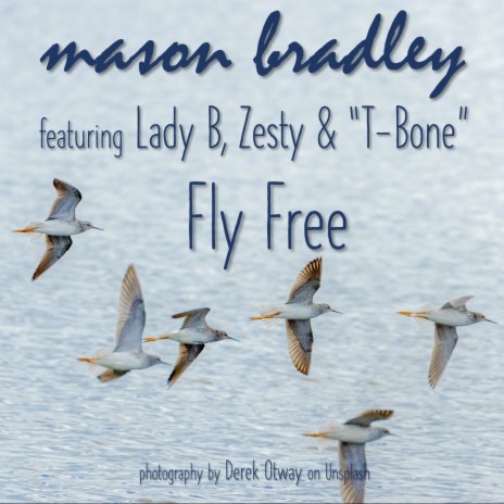 Fly Free ft. Lady B, Zesty & T-Bone | Boomplay Music