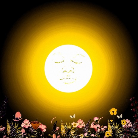 Sunlight, Moonshine ft. Square Head Round Soul