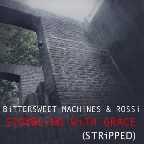 Stumbling With Grace (Stripped) ft. Rossi | Boomplay Music