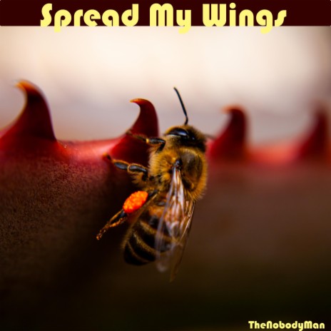 Spread My Wings | Boomplay Music