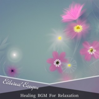 Healing Bgm for Relaxation