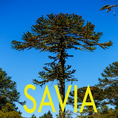 Savia ft. BDS | Boomplay Music