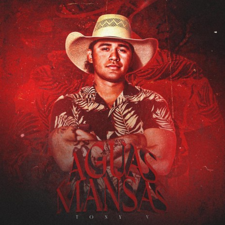 Aguas Mansas | Boomplay Music