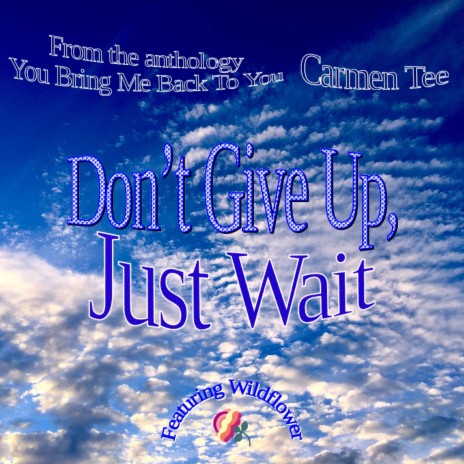 Don't Give Up, Just Wait | Boomplay Music
