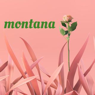 Montana