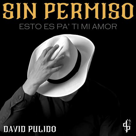 Sin Permiso | Boomplay Music