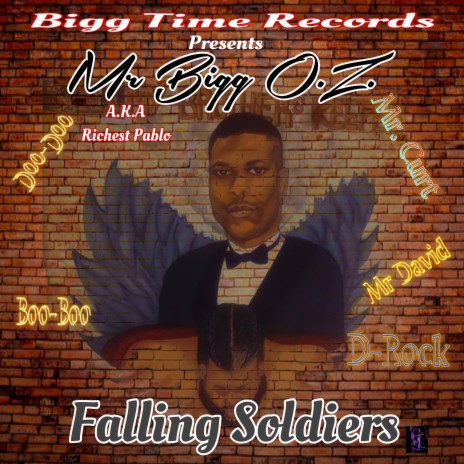 FALLING SOLDIERS | Boomplay Music