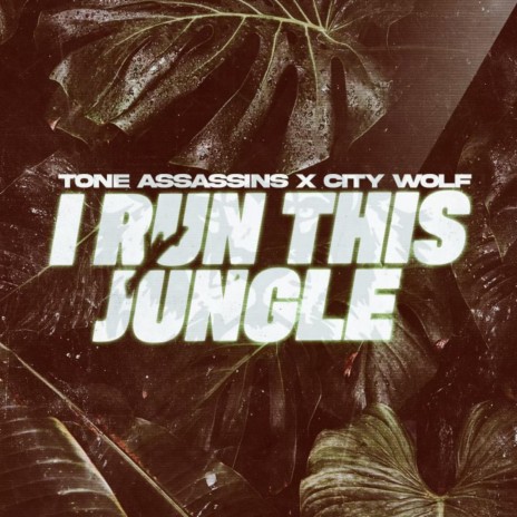 I Run This Jungle ft. City Wolf | Boomplay Music