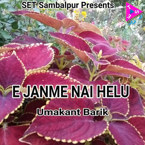 E Janme Nai Helu (Live) | Boomplay Music