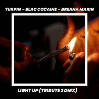 Light Up (Tribute 2 Dmx)