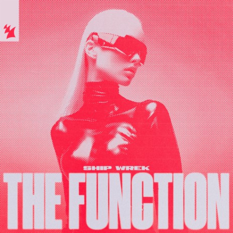 The Function | Boomplay Music