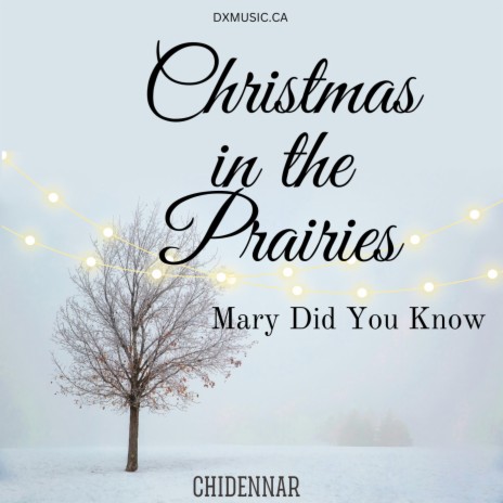 Christmas In The Prairies (Mary Did You Know)