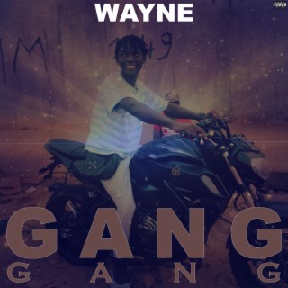 Gang gang