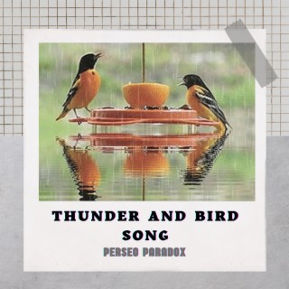 Thunder and bird song (Für Elsen)