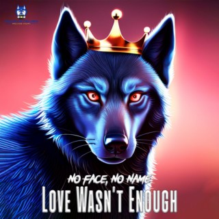 Love Wasn`t Enough