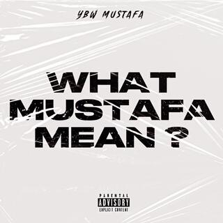 What Mustafa Mean ?