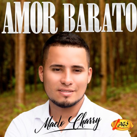 Amor Barato | Boomplay Music