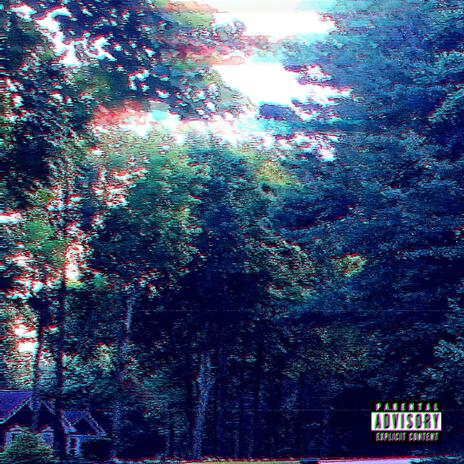 woods | Boomplay Music