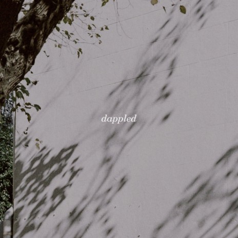 dappled | Boomplay Music