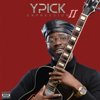 YPICK EXPRESSION 2 (Guitar Version)