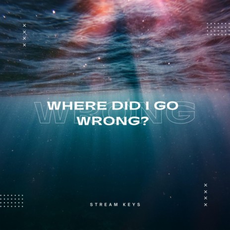 Where Did I Go Wrong? | Boomplay Music