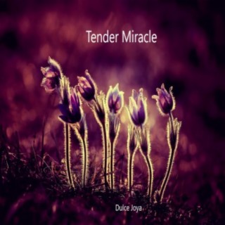 Tender miracle