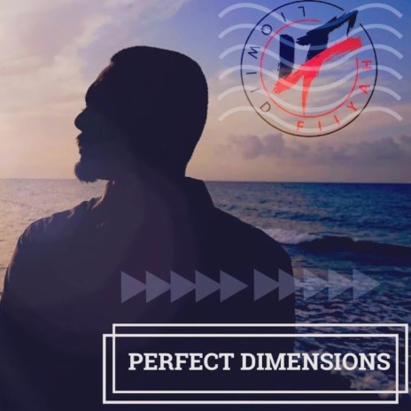 Perfect Dimensions ft. IRS | Boomplay Music
