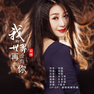 我的世界再也没有你 lyrics | Boomplay Music