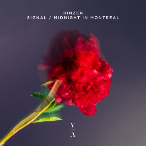 Midnight in Montreal | Boomplay Music