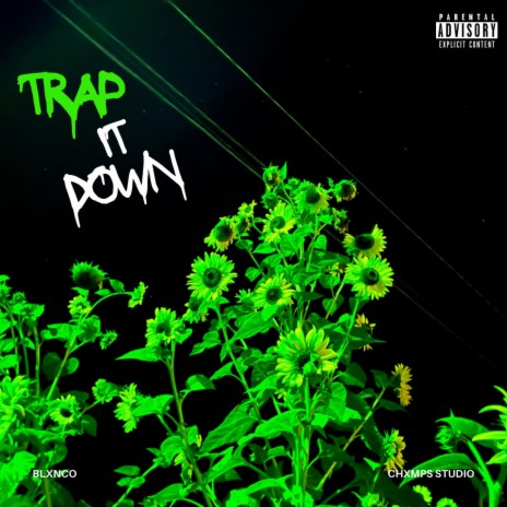 TRAP IT DOWN | Boomplay Music