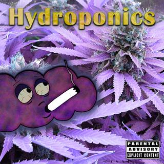 Hydroponics