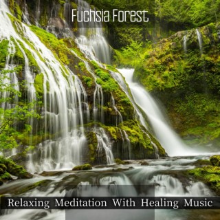 Relaxing Meditation with Healing Music