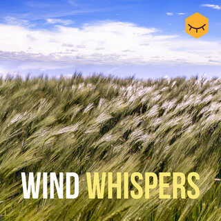 Wind Whispers