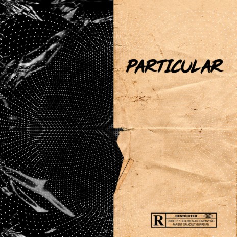 PARTICULAR | Boomplay Music