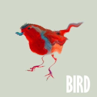 Paris Bird