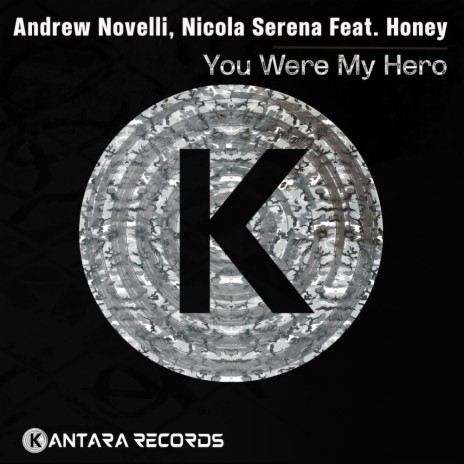 You Were My Hero (Original Mix) ft. Nicola Serena & Honey | Boomplay Music
