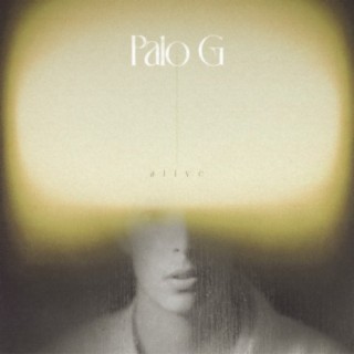 Palo G