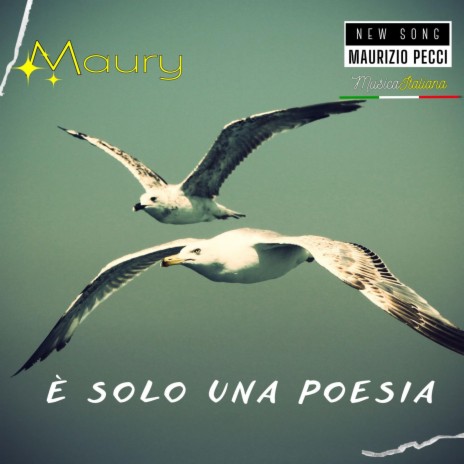 E' SOLO UNA POESIA (Special Version) | Boomplay Music