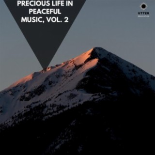 Precious Life in Peaceful Music, Vol. 2