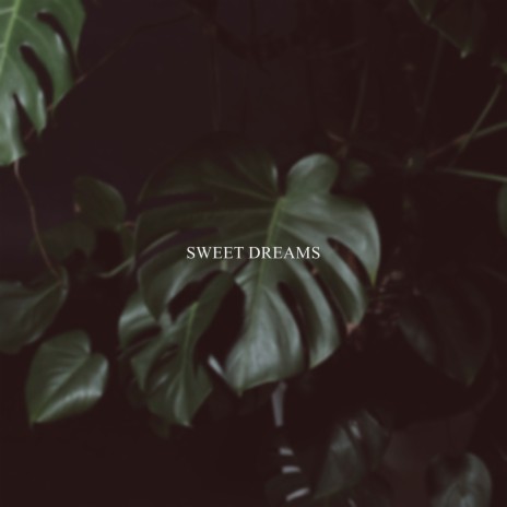 Sweet Dreams | Boomplay Music