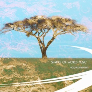 Shades of World Music Vol, 16