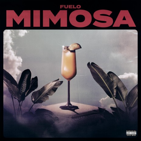 Mimosa