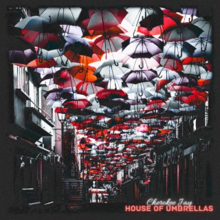 House Of Umbrellas