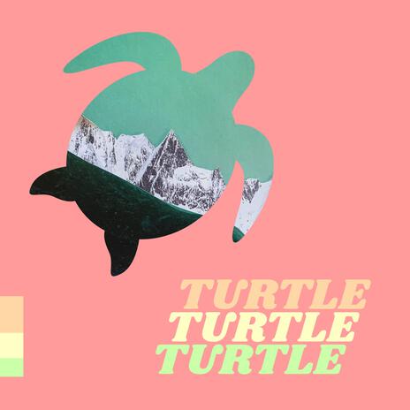 Turtle | Boomplay Music