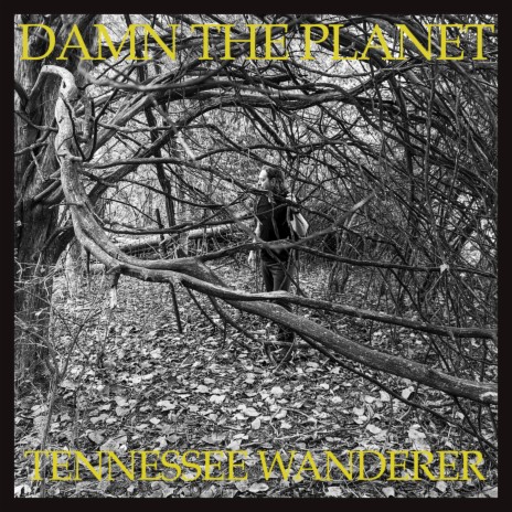 Tennessee Wanderer | Boomplay Music