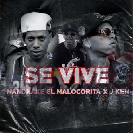 Se Vive ft. Mandrake El Malocorita | Boomplay Music